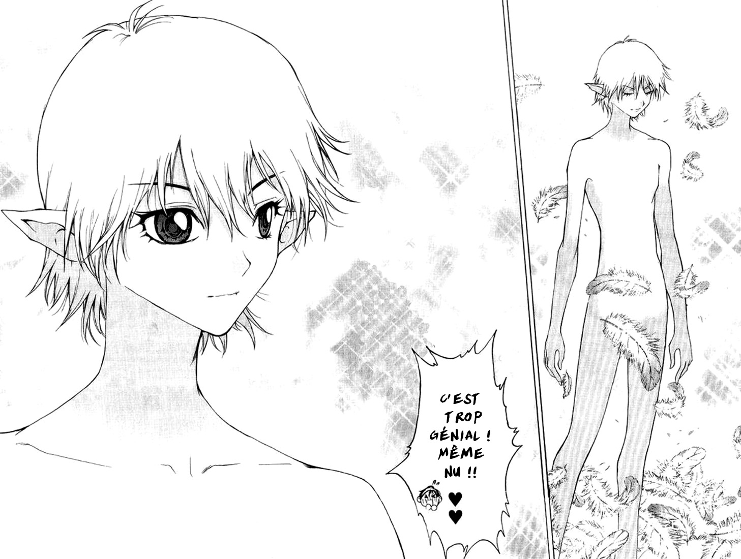 img Half Prince 24